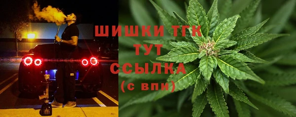 jwh Гусев